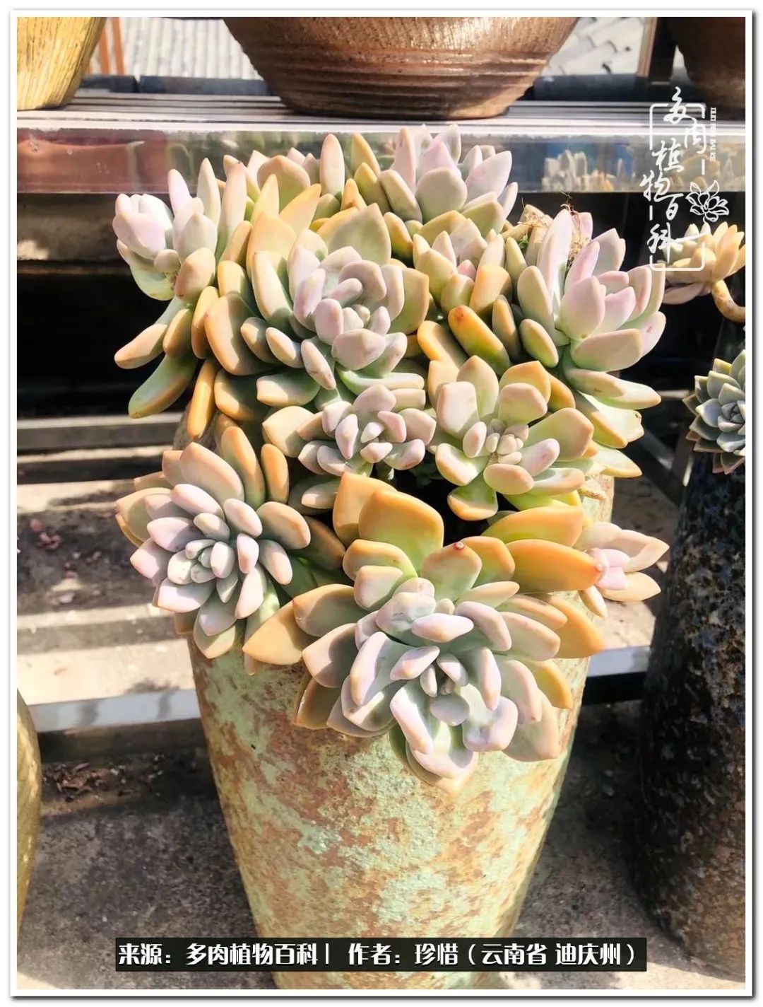 给生命一份淡然还岁月一份从容,给生命留一份洒脱的话