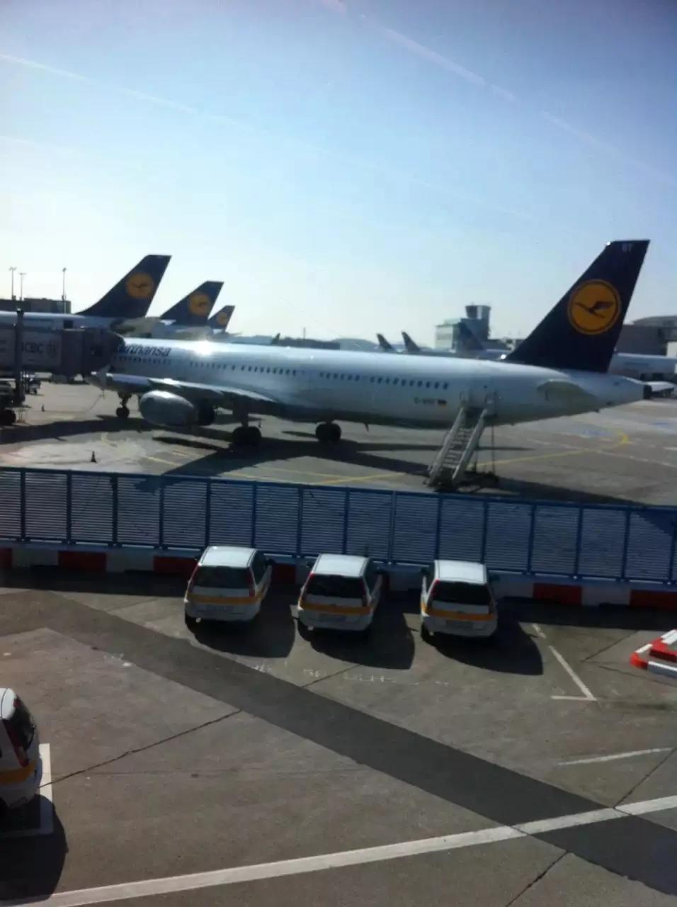 去欧洲选择哪个航空舒服,欧洲国家哪个航空最便宜