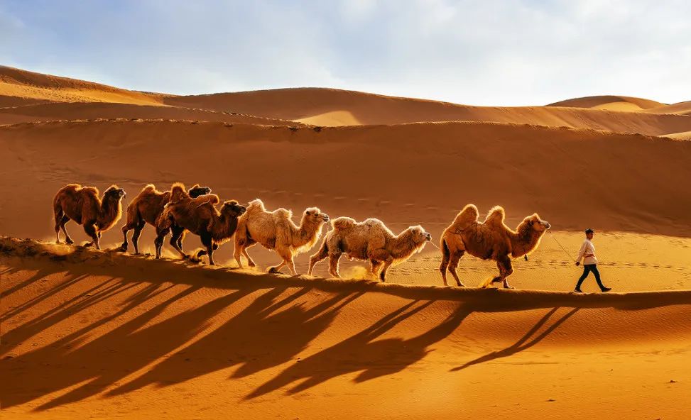 这条惊艳奇绝的公路,行走在天山脊梁上的最美景观公路