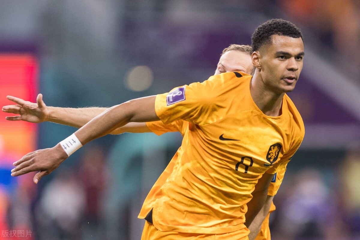 荷兰范戴克防守能力,范加尔能否带领荷兰队