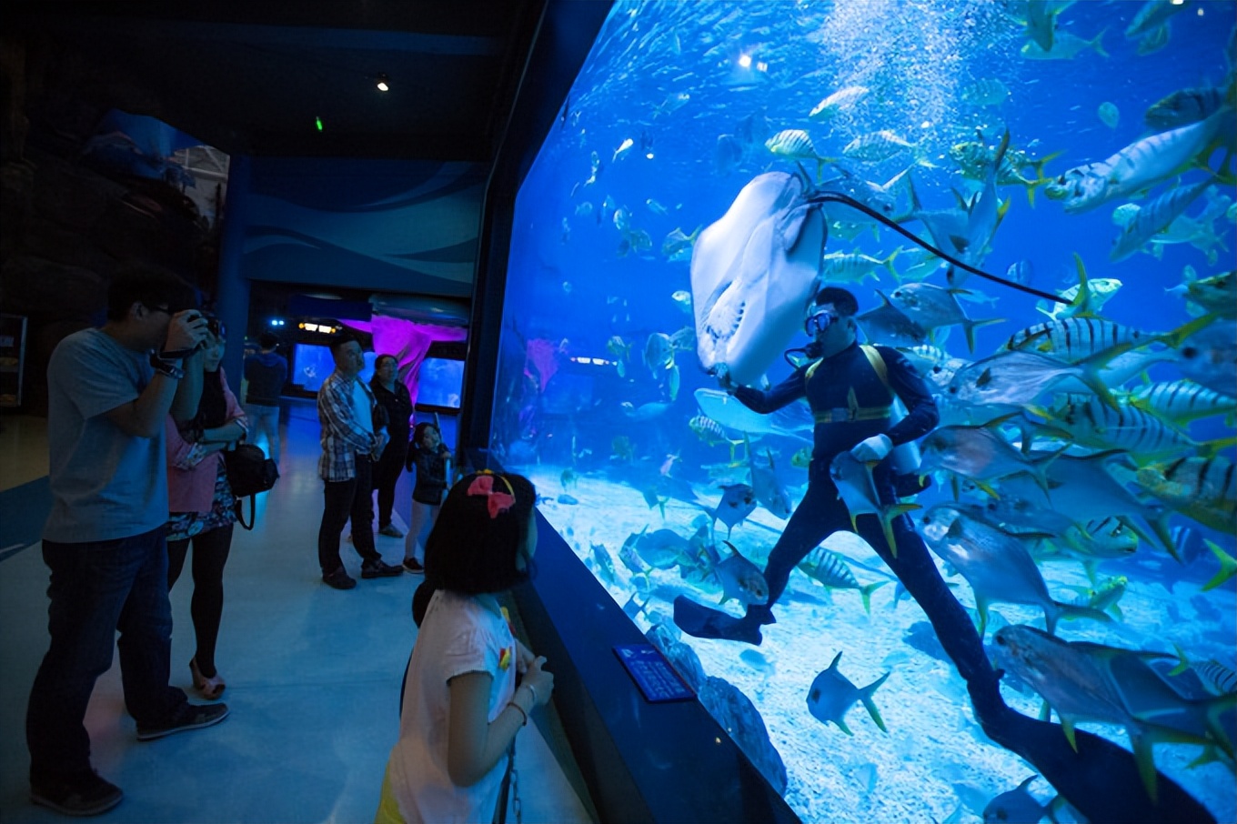 带孩子去烟台哪里玩,带孩子去烟台玩哪里比较好