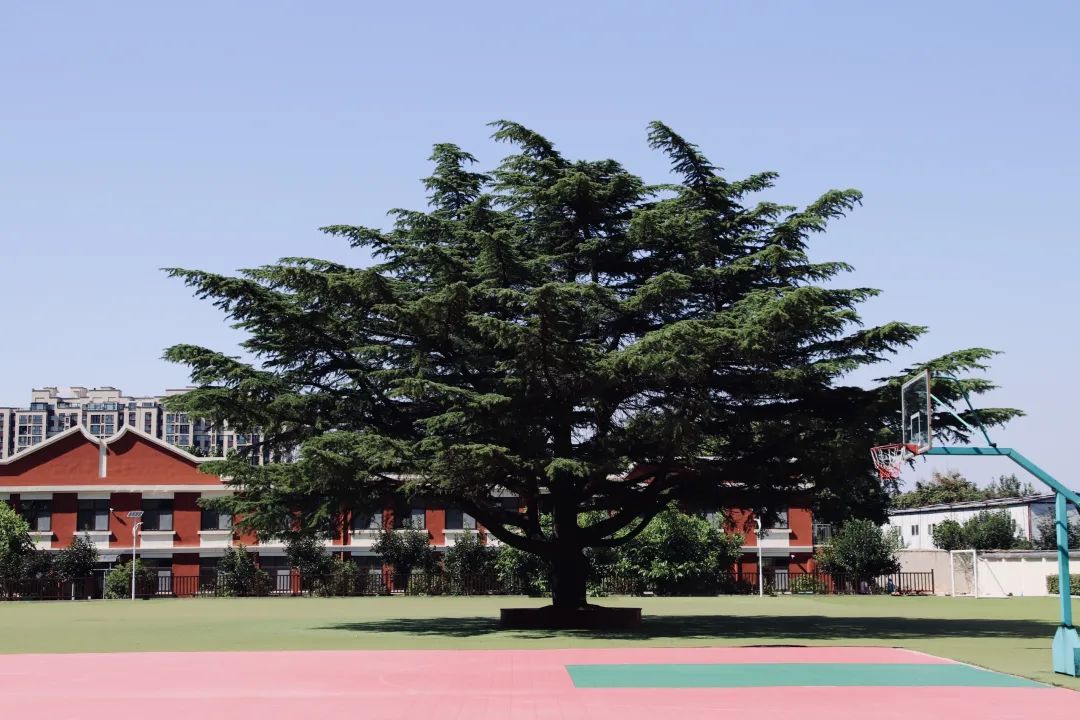 青岛二十一世纪国际学校学费,青岛银河国际学校学费