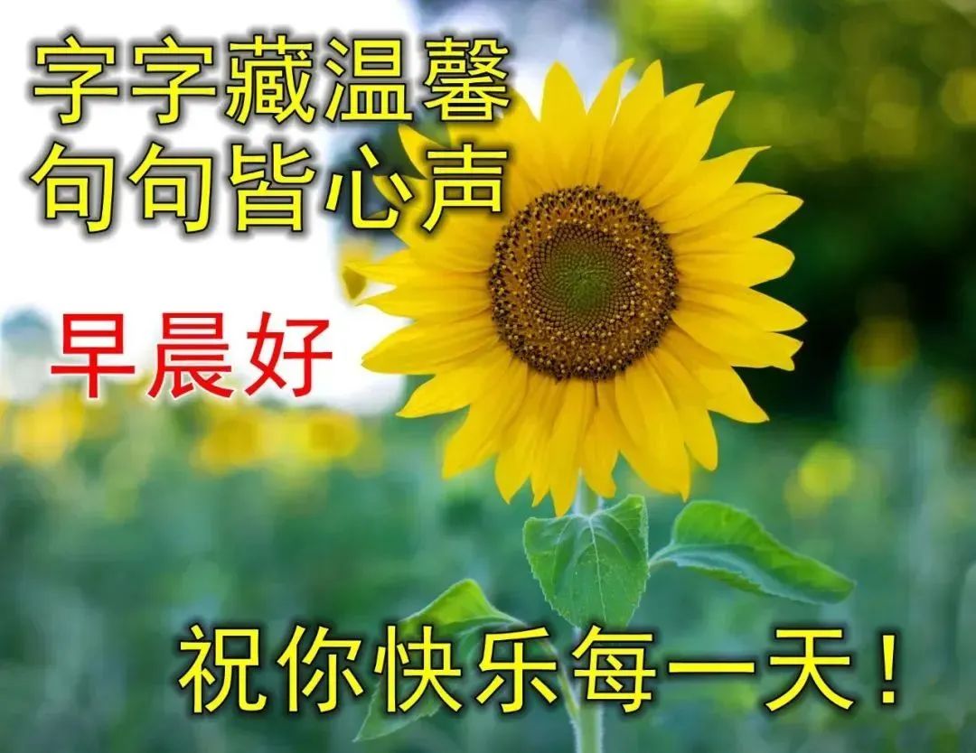 早上好图片带字早安祝福语,早上好图片带字早安正能量