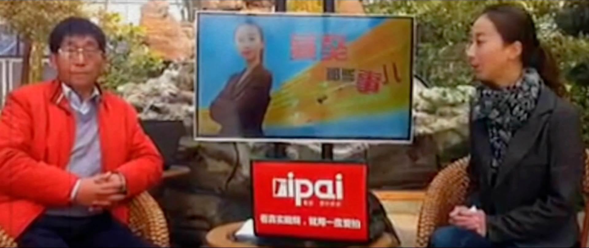 藏獒:中国的郁金香泡沫