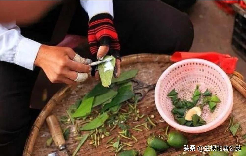第一次嚼槟榔是什么感觉,爱吃槟榔有什么特征