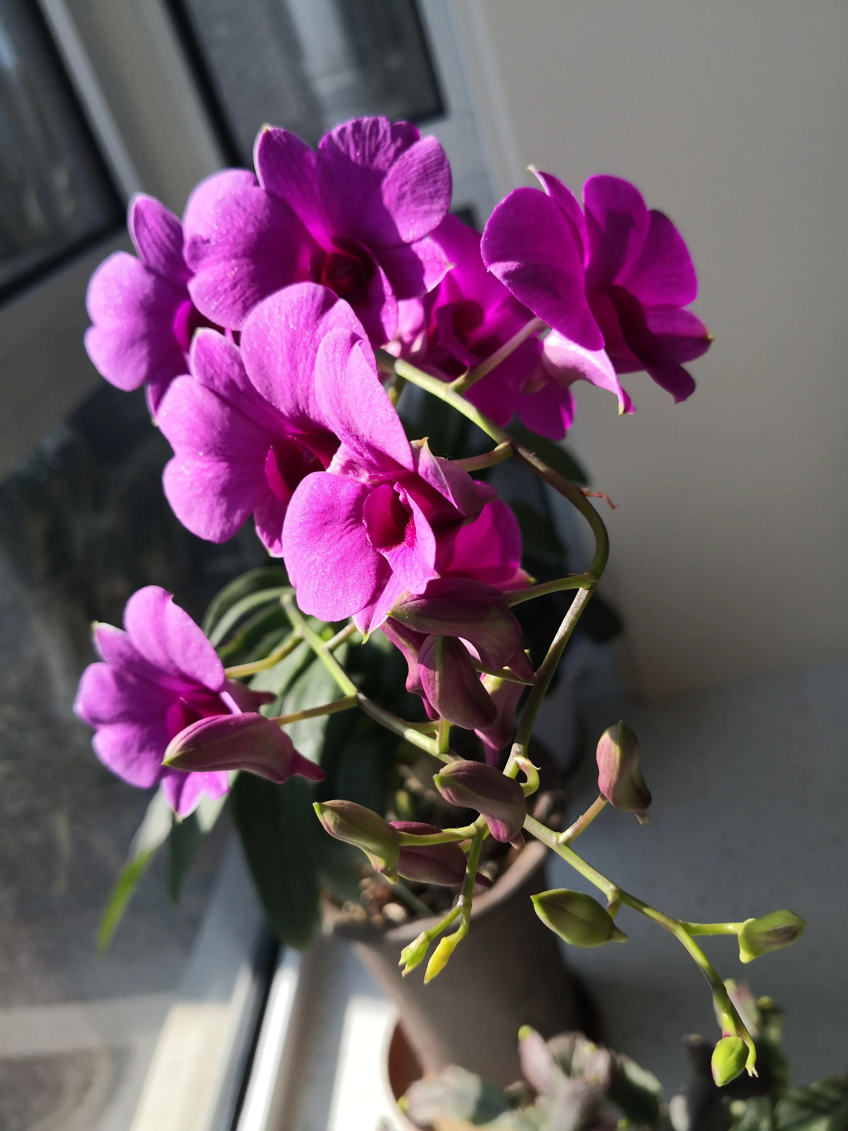 中国足球运作规律,中国足球真相大揭秘