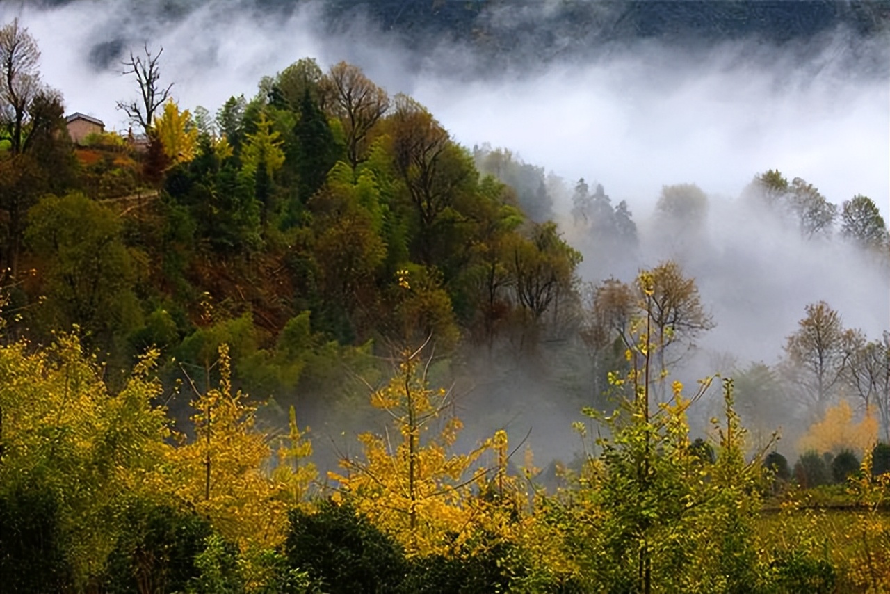 盘点那些过气网红的现状,2020年已经过气的网红