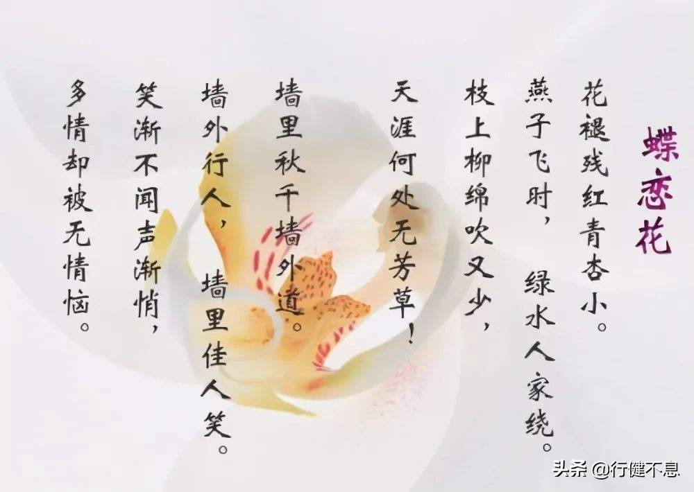 经典咏柳宋词,关于咏柳著名诗句及其赏析