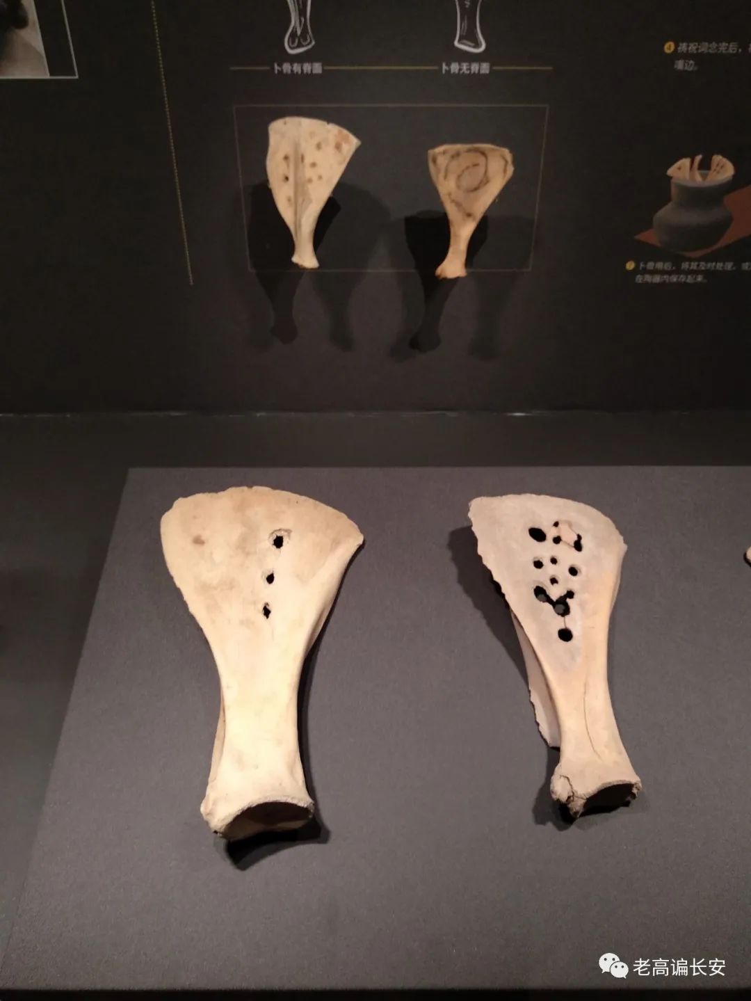 陕西考古博物馆几点放号,陕西考古博物馆门票预约