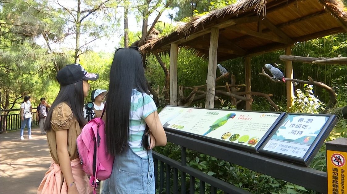 动物园鹦鹉飙脏话保育员引导,云南野生动物园内鹦鹉飙脏话