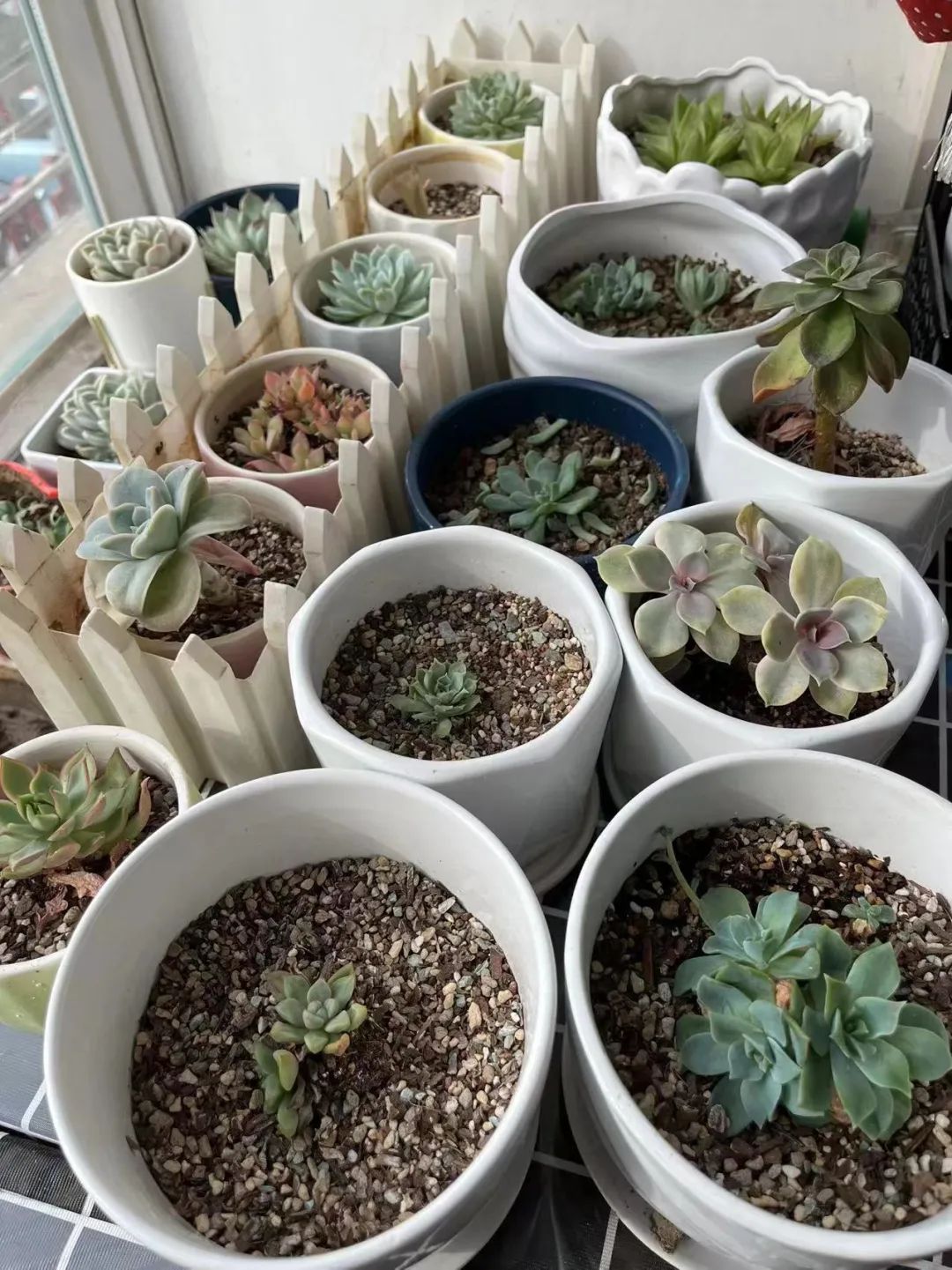 揭秘！派出所的“镇所之宝”