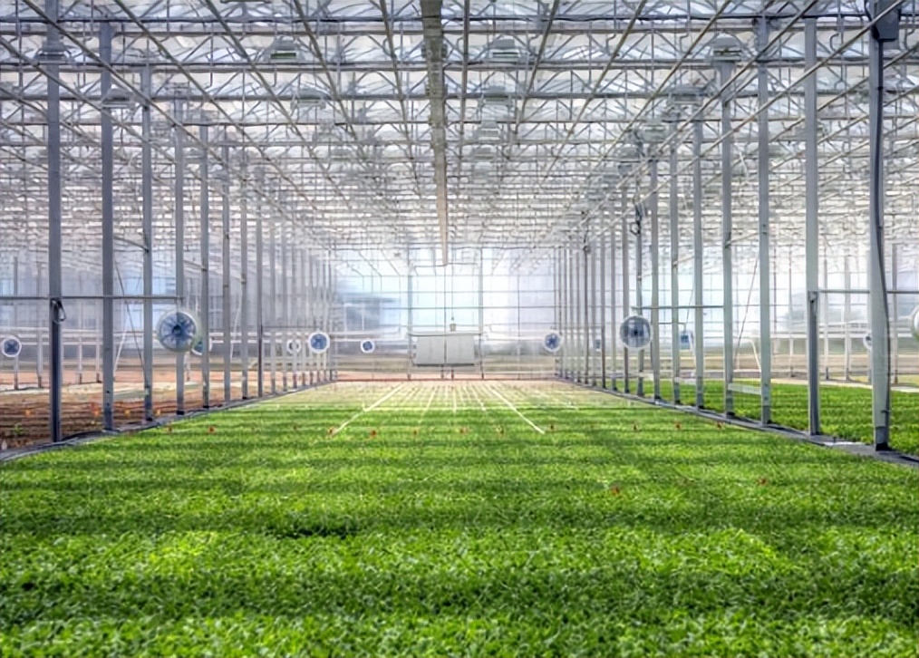 那些满满科技感的智慧农业,一分钟了解智慧农业