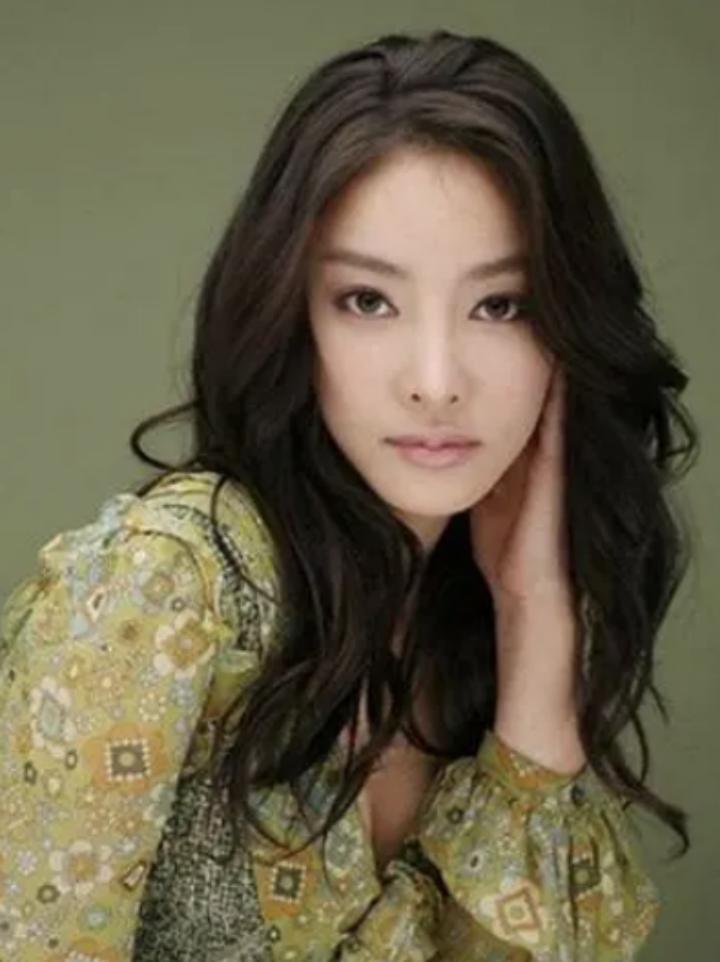 四大财阀垄断下的韩国,韩国被财阀控制的发达国家