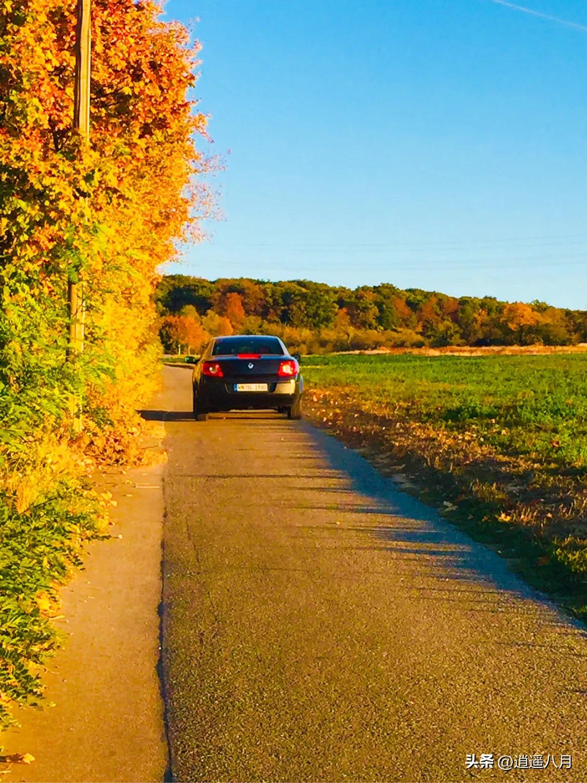 记录在德国的日子,德国周末狂欢