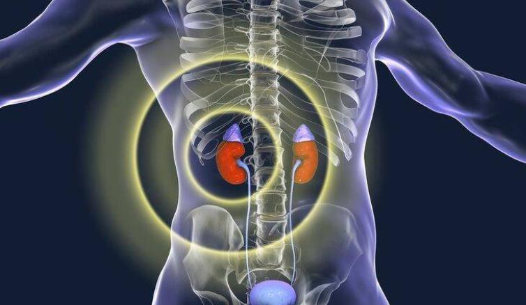 尼泊尔“卖肾村”：穷人们以700美元高价出售，人人身上一道疤