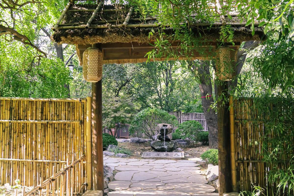 跟老板出差，他让我睡他房间，之后的事情让我觉得自己像个傻子