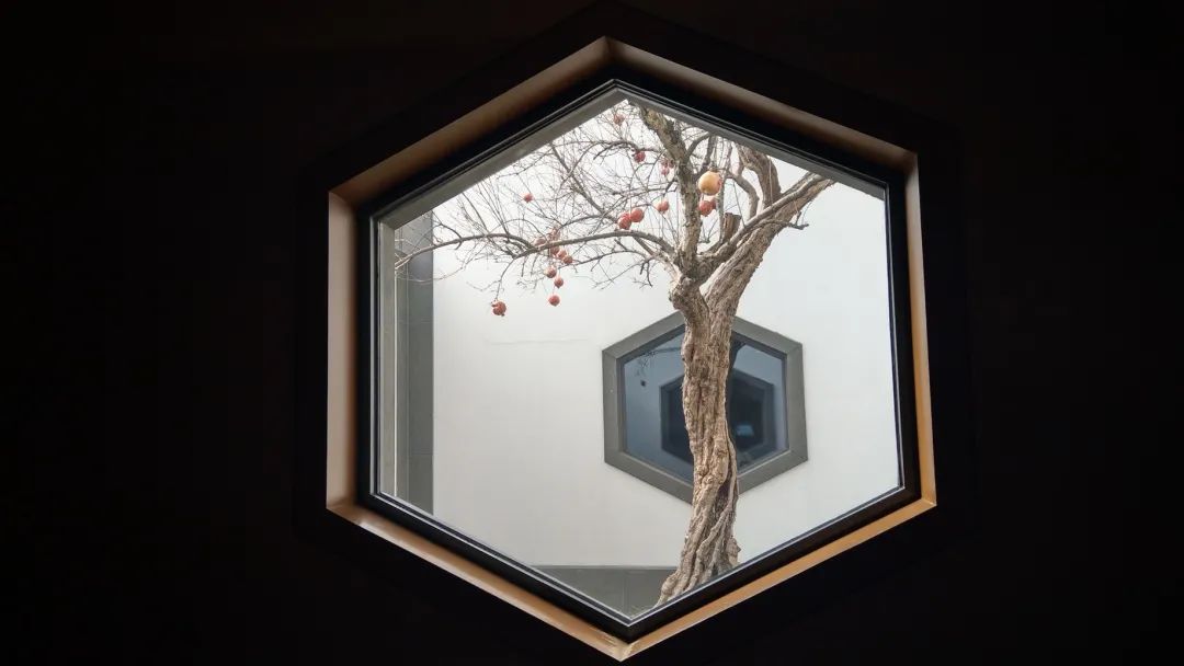 解放后的苏州贝氏家族,苏州贝氏后代现状