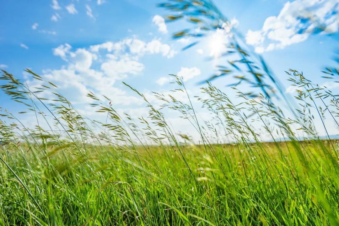 良心推荐夏日风光绝美的避暑胜地,夏季避暑胜地推荐4天