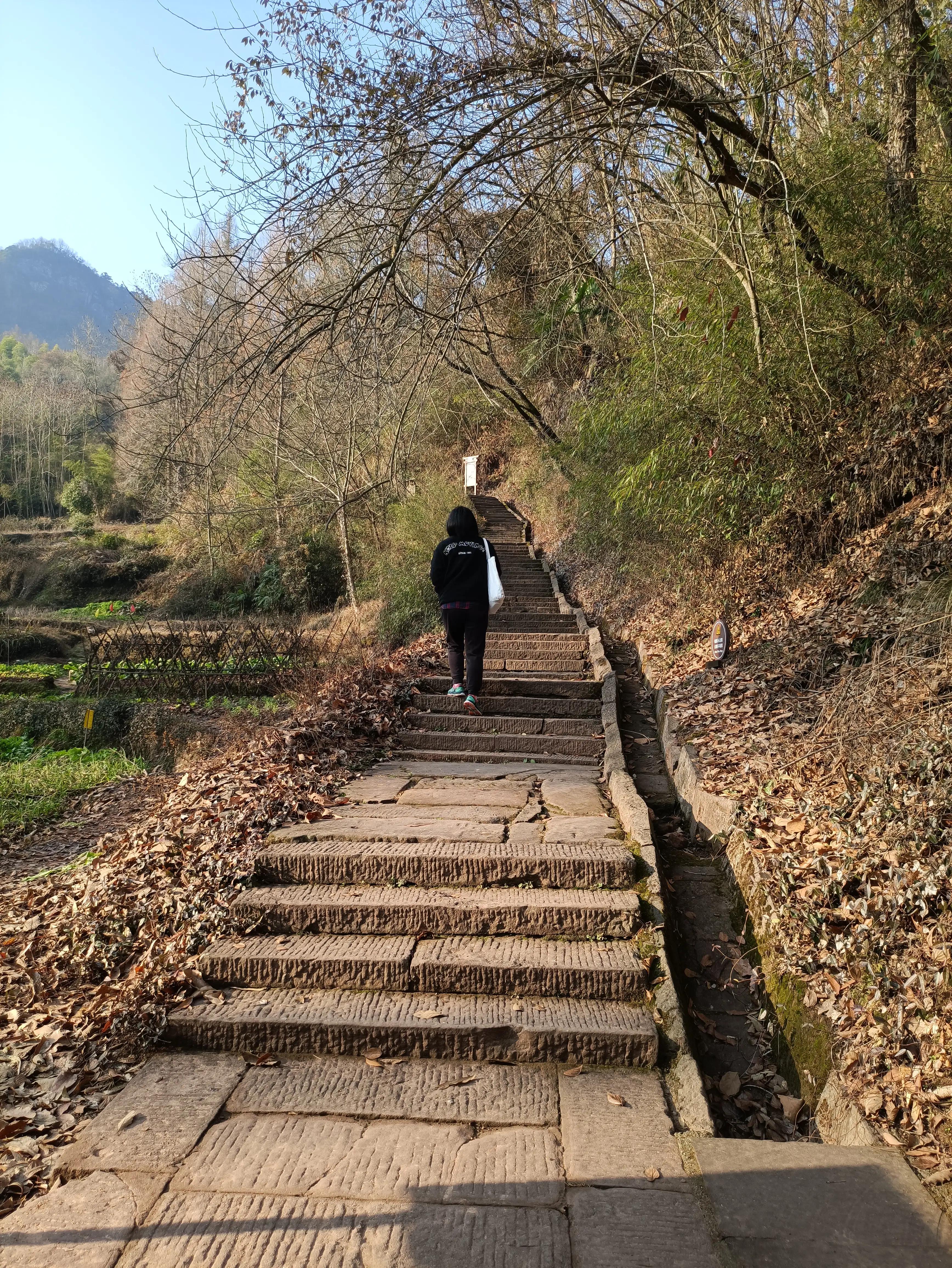 齐云山坐缆车后要游览多久,休宁齐云山景区游览图