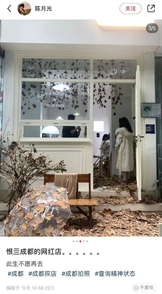 草莓塔事件是真的吗,草莓塔事件被骂的女孩