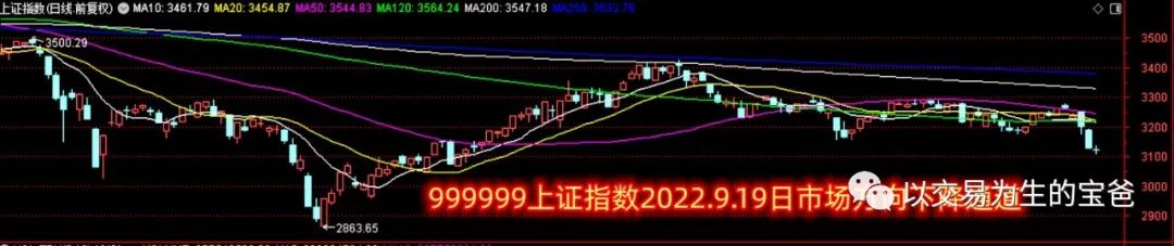 长线大牛股的出现,如何把握长线大牛股