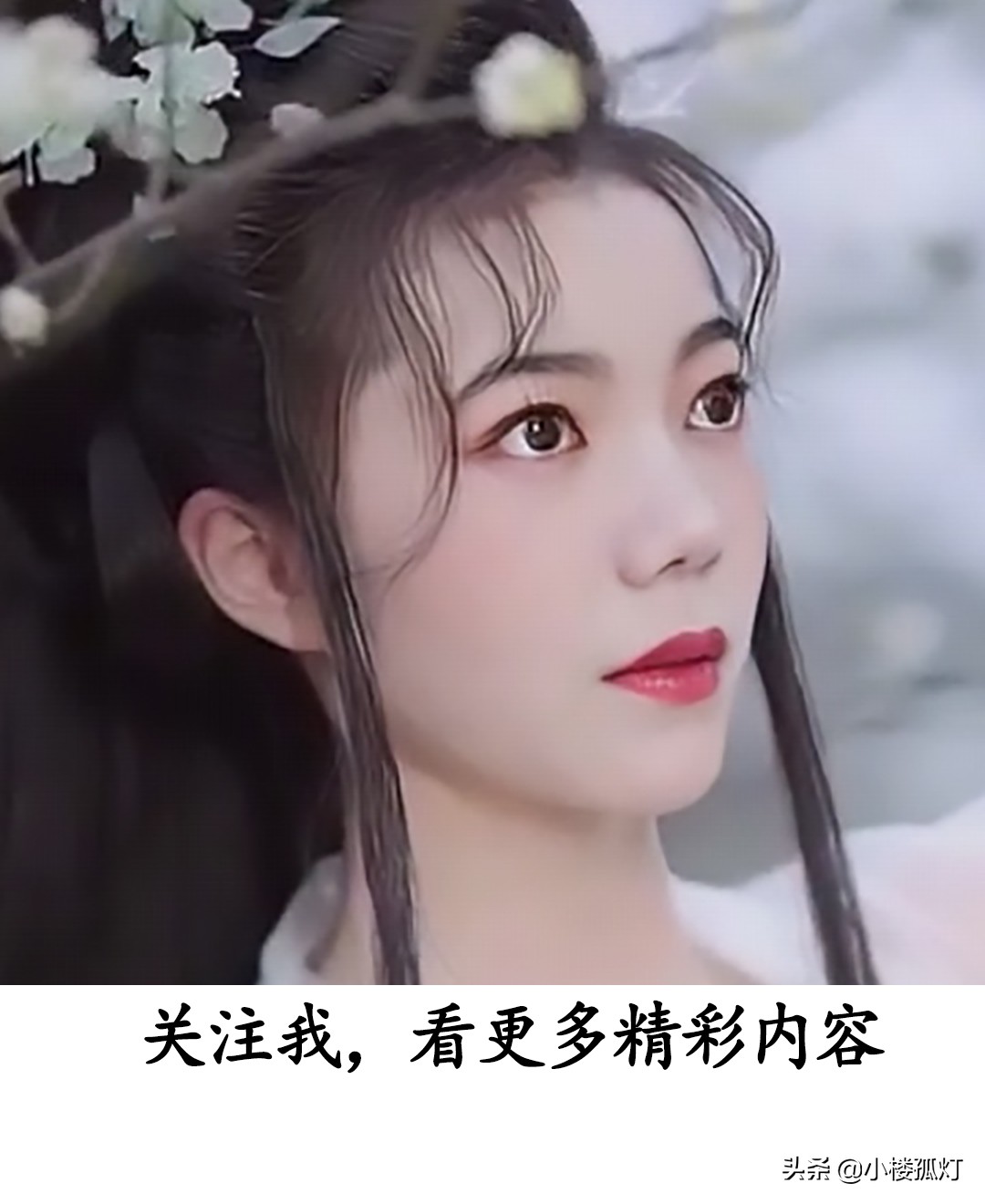 双鹿7号碱性电池价格,双鹿电池黑骑士和蓝骑士哪个耐用