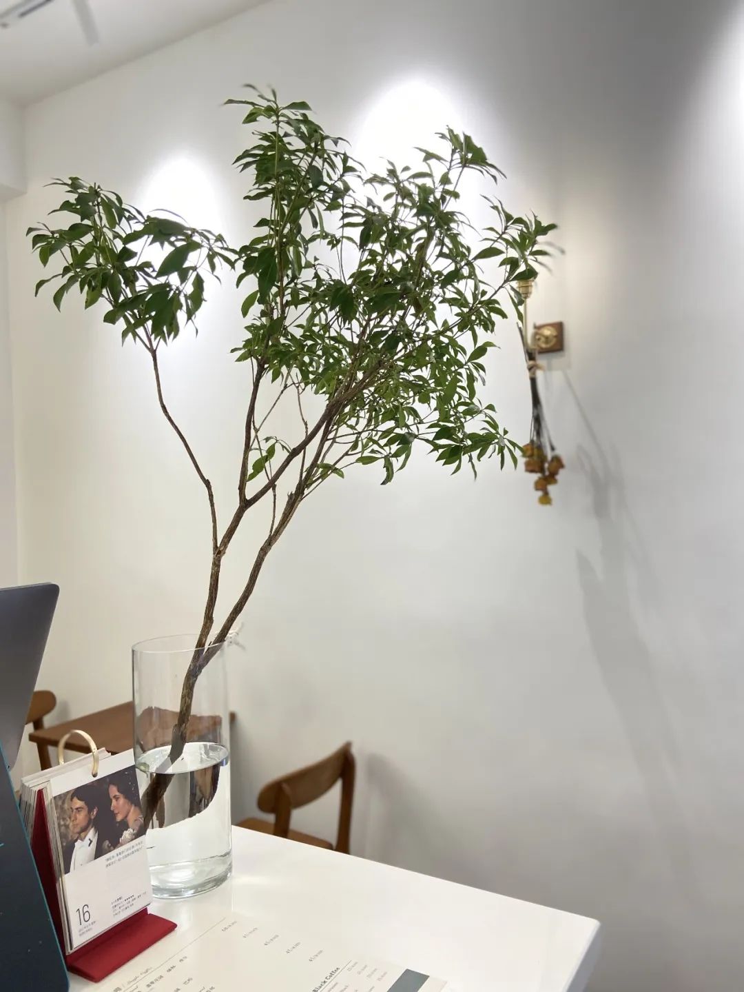 雅开头的店名,成都的老店名