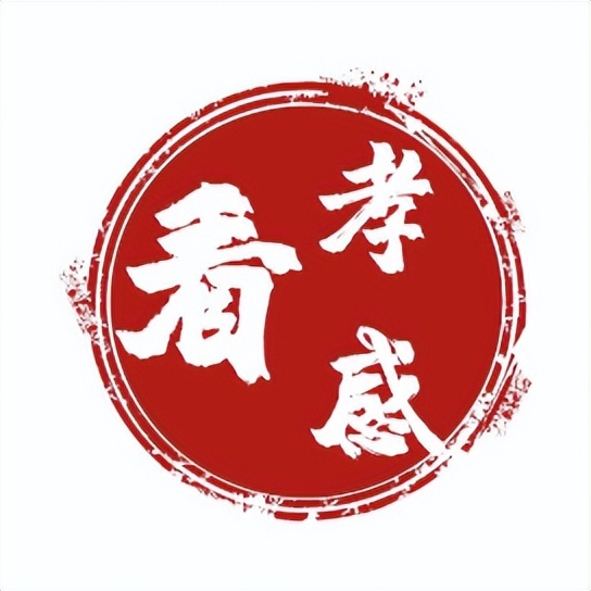 孝感市中心医院东城新院区,孝感中心医院新址进度