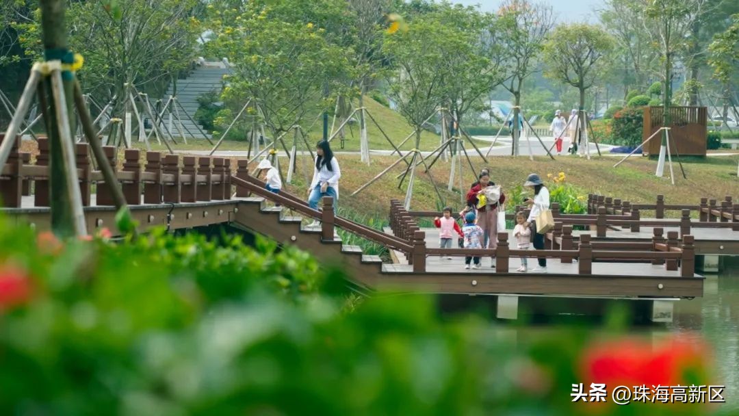 遛娃必看！这些春日色彩，就藏在高新区的公园里…