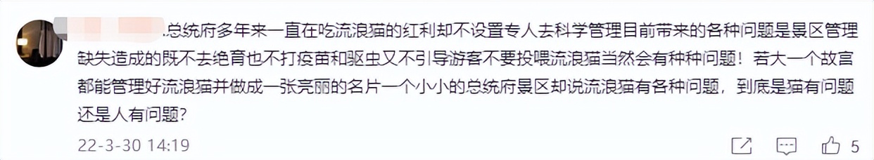 南京流浪猫被集体安乐死,南京总统府流浪猫事件