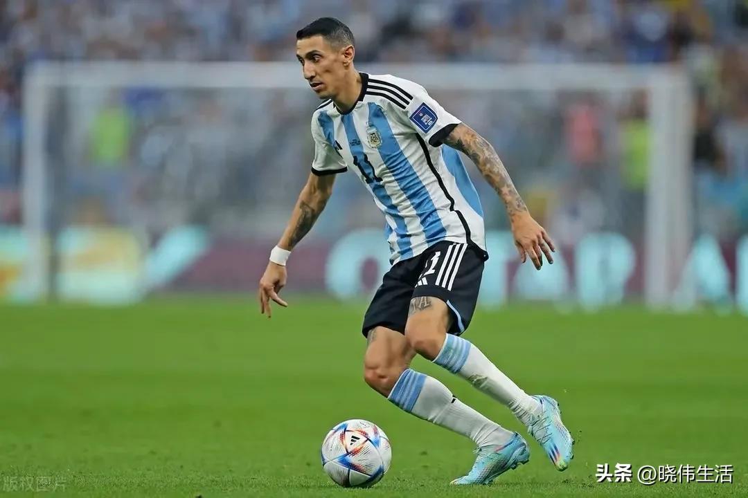 小白看足球指南,小白看大乐透