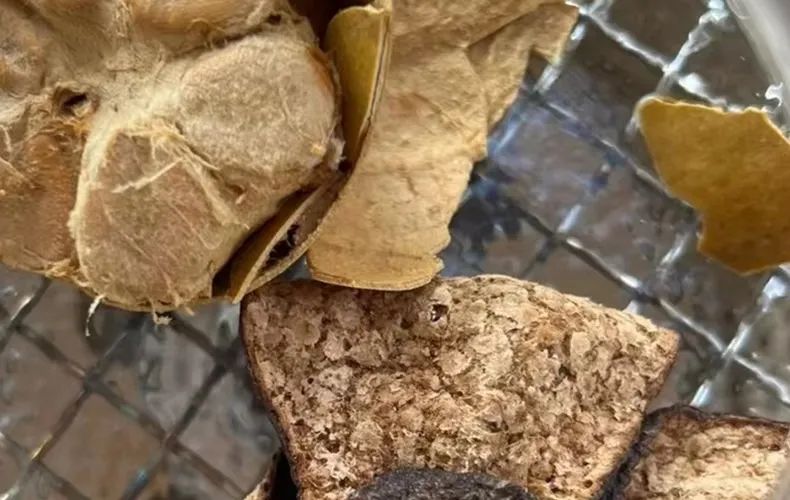 羊咳嗽止咳食物有哪些呢,羊吃什么止咳化痰