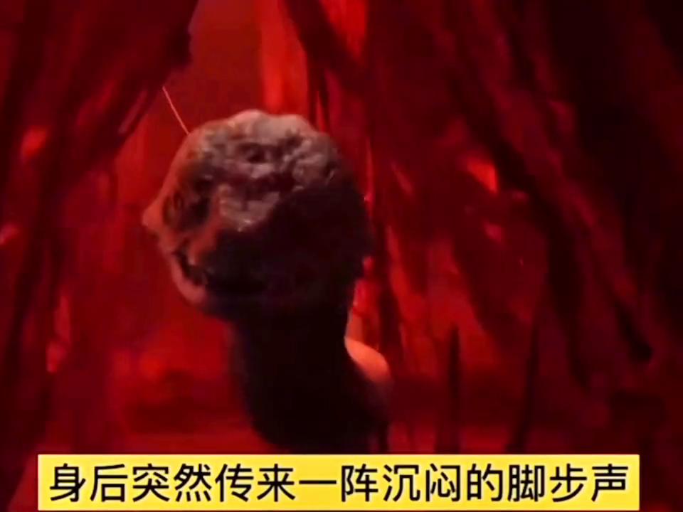 陈情令番外篇完整免费,陈情令番外篇仙督夫人