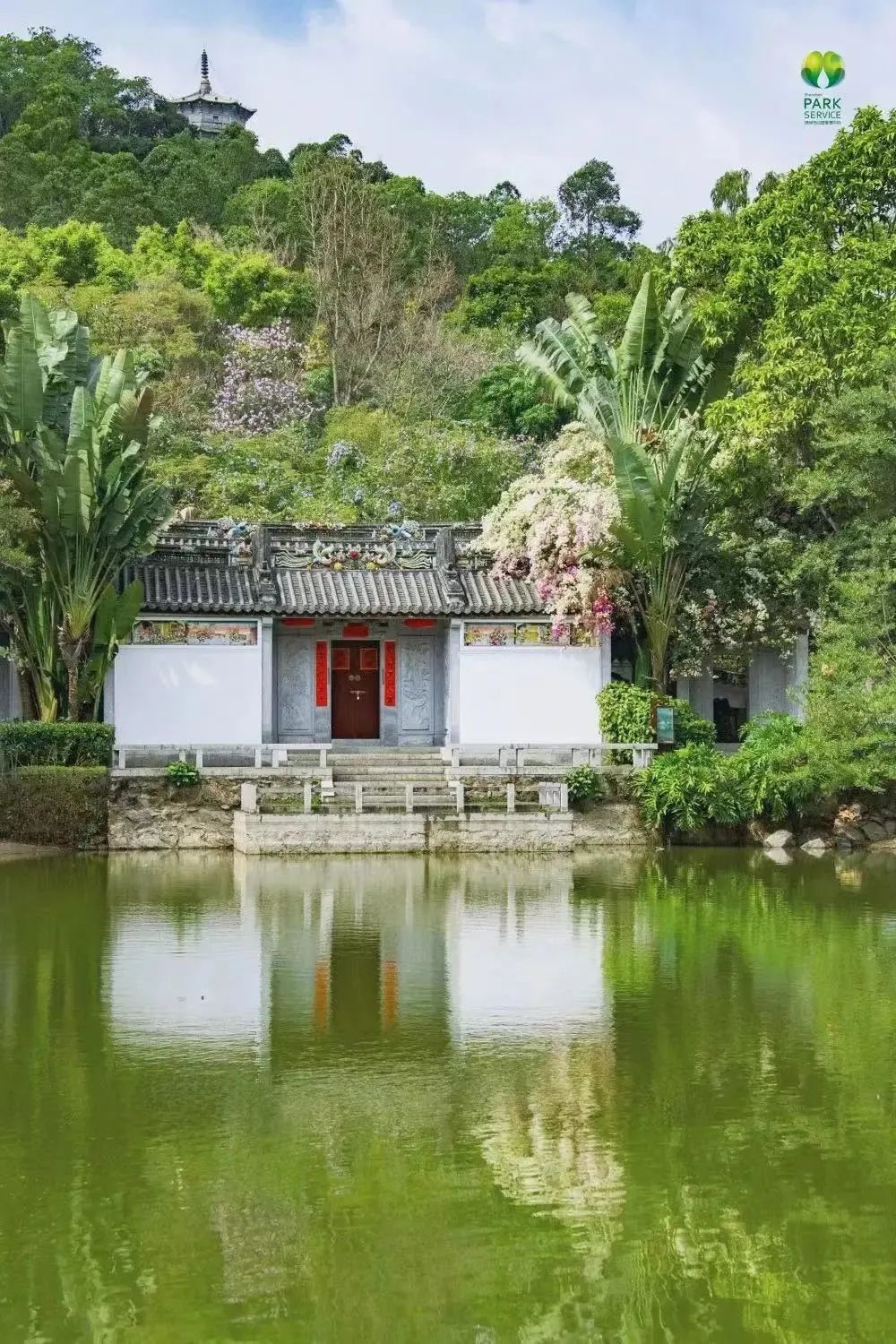 春天去哪儿玩？ABCD四条线路带你“狂飙”福田！