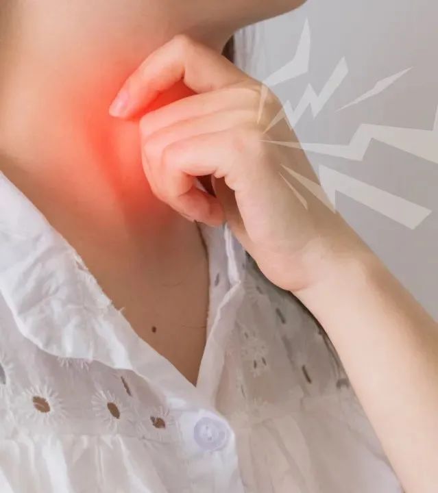 上新|草本呵护晚安汤,告别难眠的夜