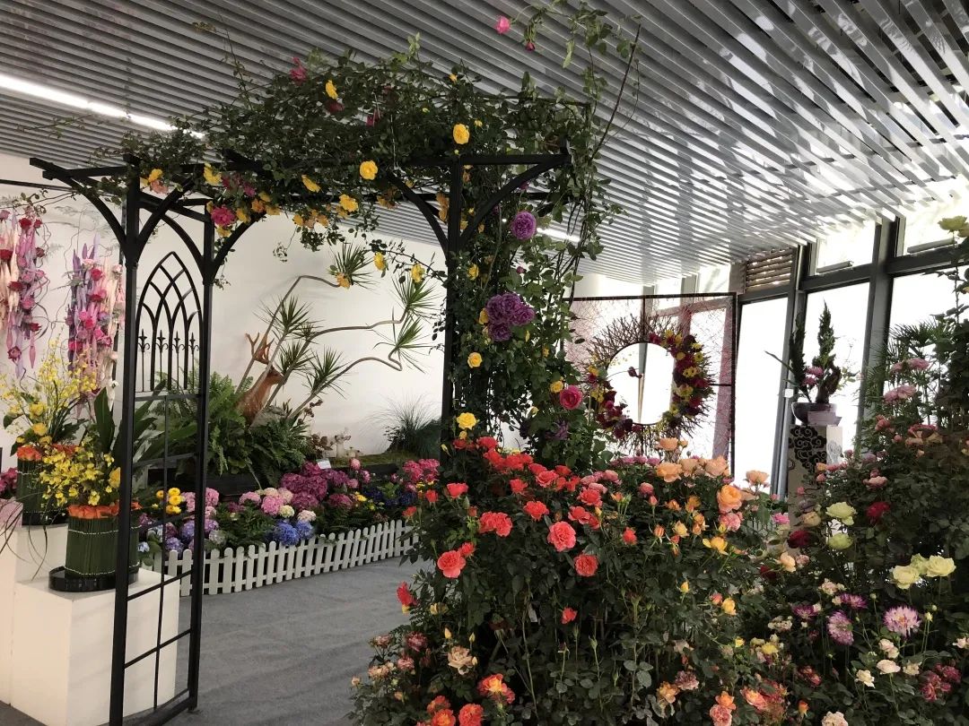 五一假期出游攻略江西,五一出游地点推荐周边免门票