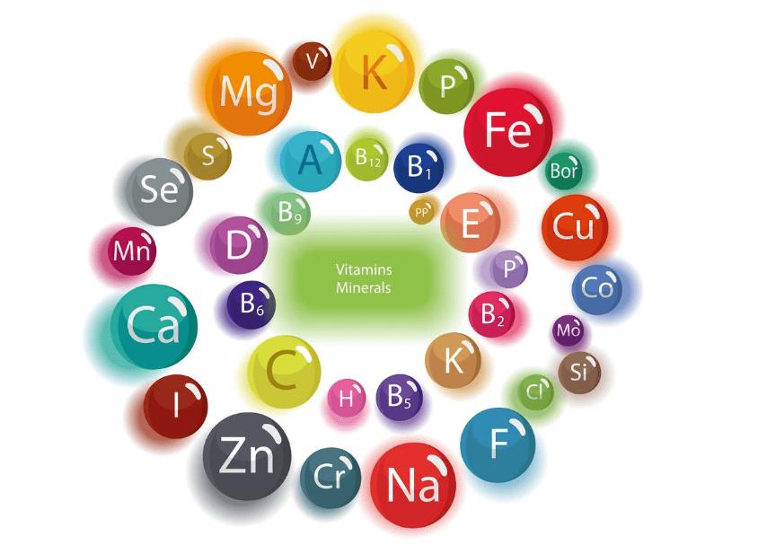 吃核桃对心血管病有好处吗,核桃对心血管病的功效