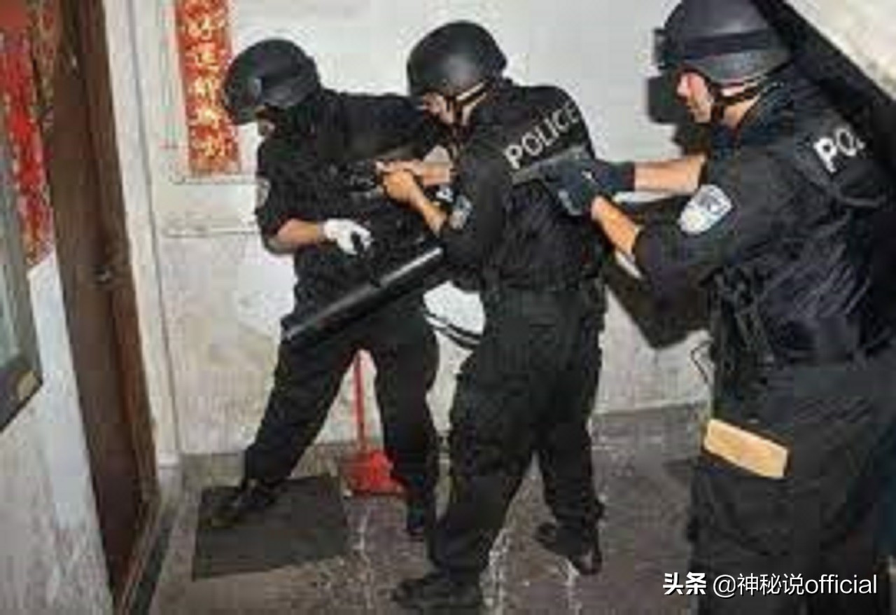 征服刘华强老虎原型,征服刘华强与丁棍谁更狠