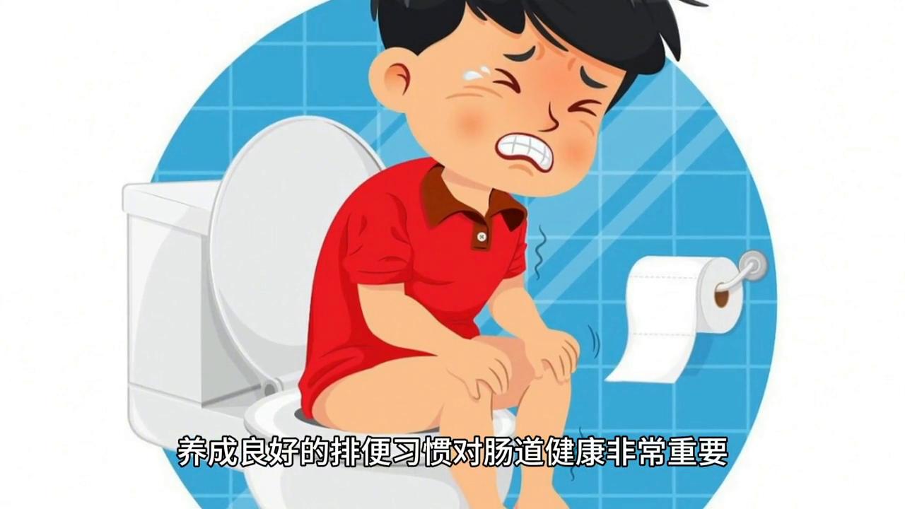 怎样保持鸟的肠道健康,保持肠道健康的5个小秘诀