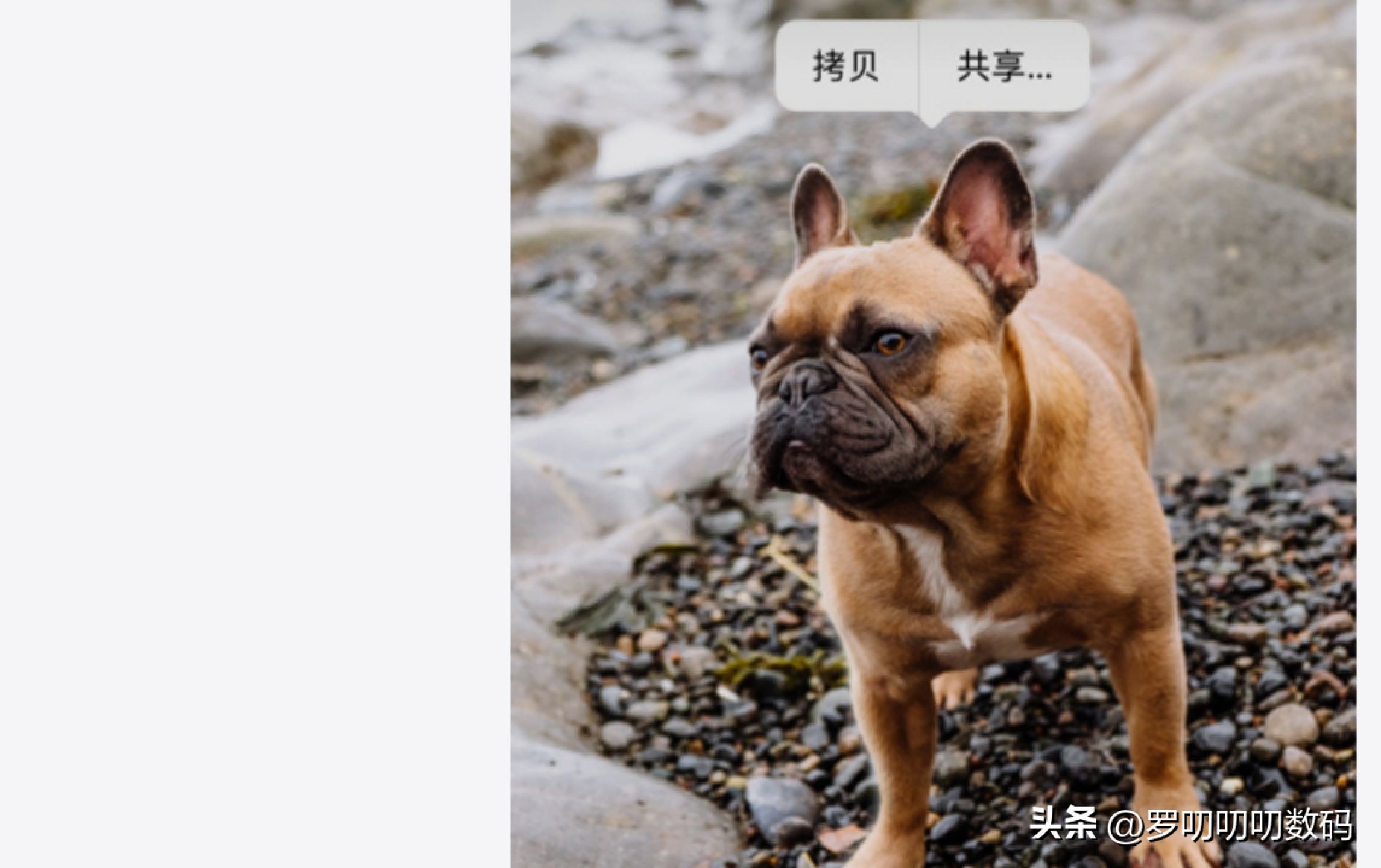 iOS16正式版升级哪些功能,ios全网最全软件合集分享