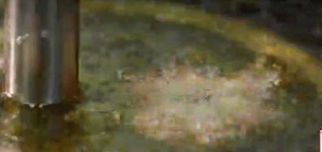 这才是中国的奢侈品惊艳世界,震惊外国人的中国奢侈品