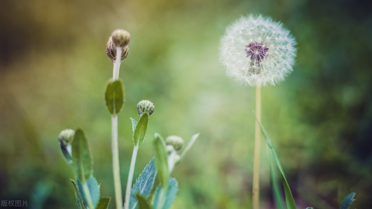 让人穷得很稳定的习惯,让一个人穷得很稳定的原因