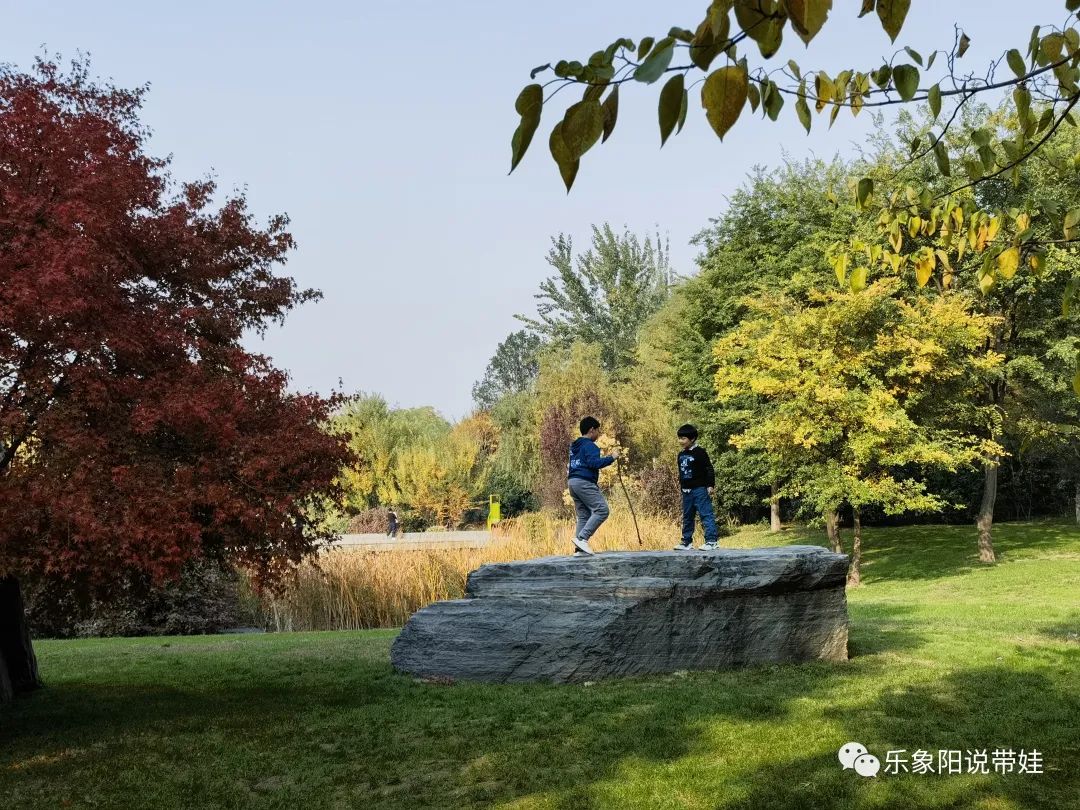 时间都去哪儿了小品完整版,时间都去哪儿了感悟