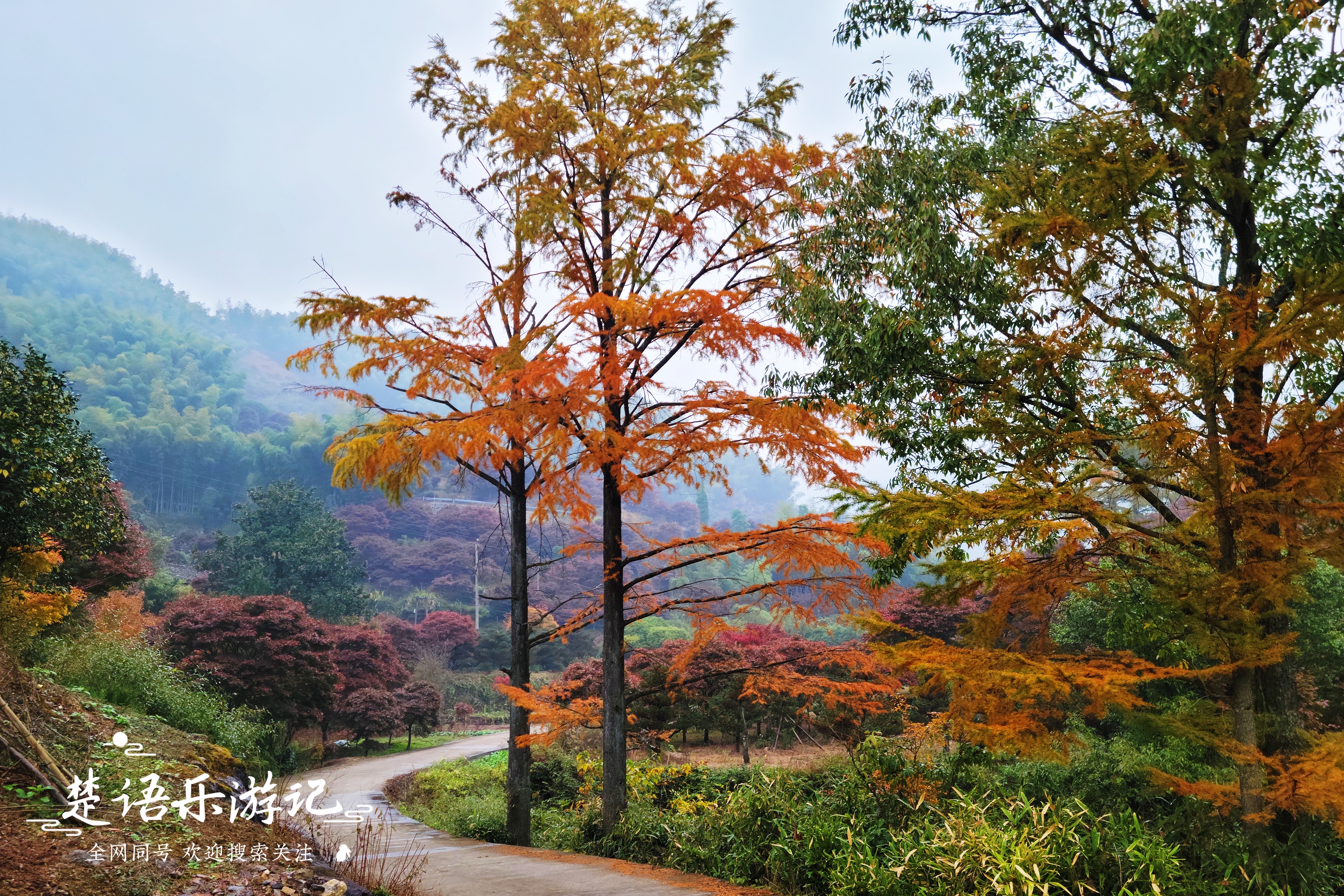 浙江宁波发现一处避世桃源，名字充满传说，景色如画堪称游玩佳地
