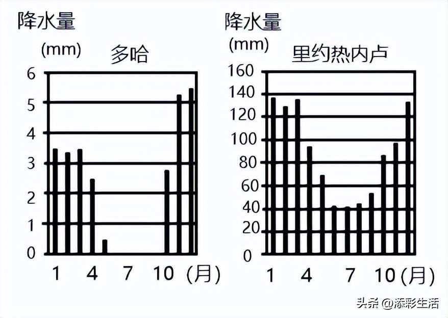 卡塔尔世界杯的地理考点,卡塔尔世界杯的地理知识点