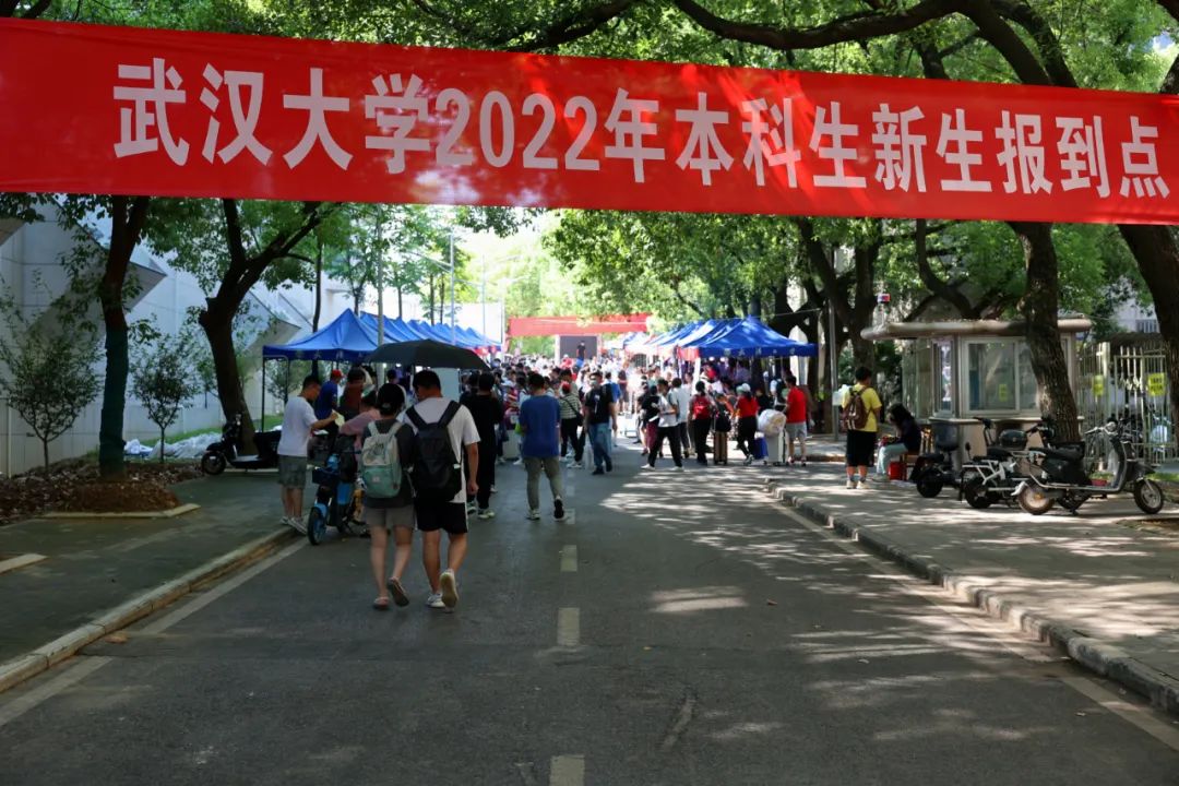 武汉大学各个省招生比例,目前武汉大学招生计划