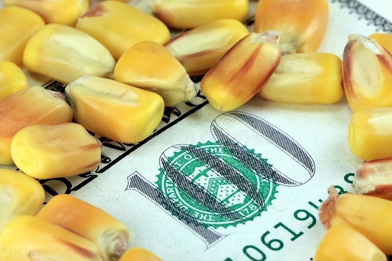 期权期货开户流程,期权开户知识点