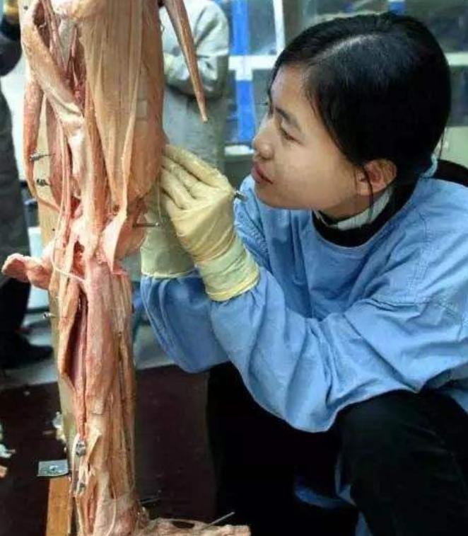 人体遗体捐献做标本有没有补偿,遗体捐献给医学院做标本能用多久