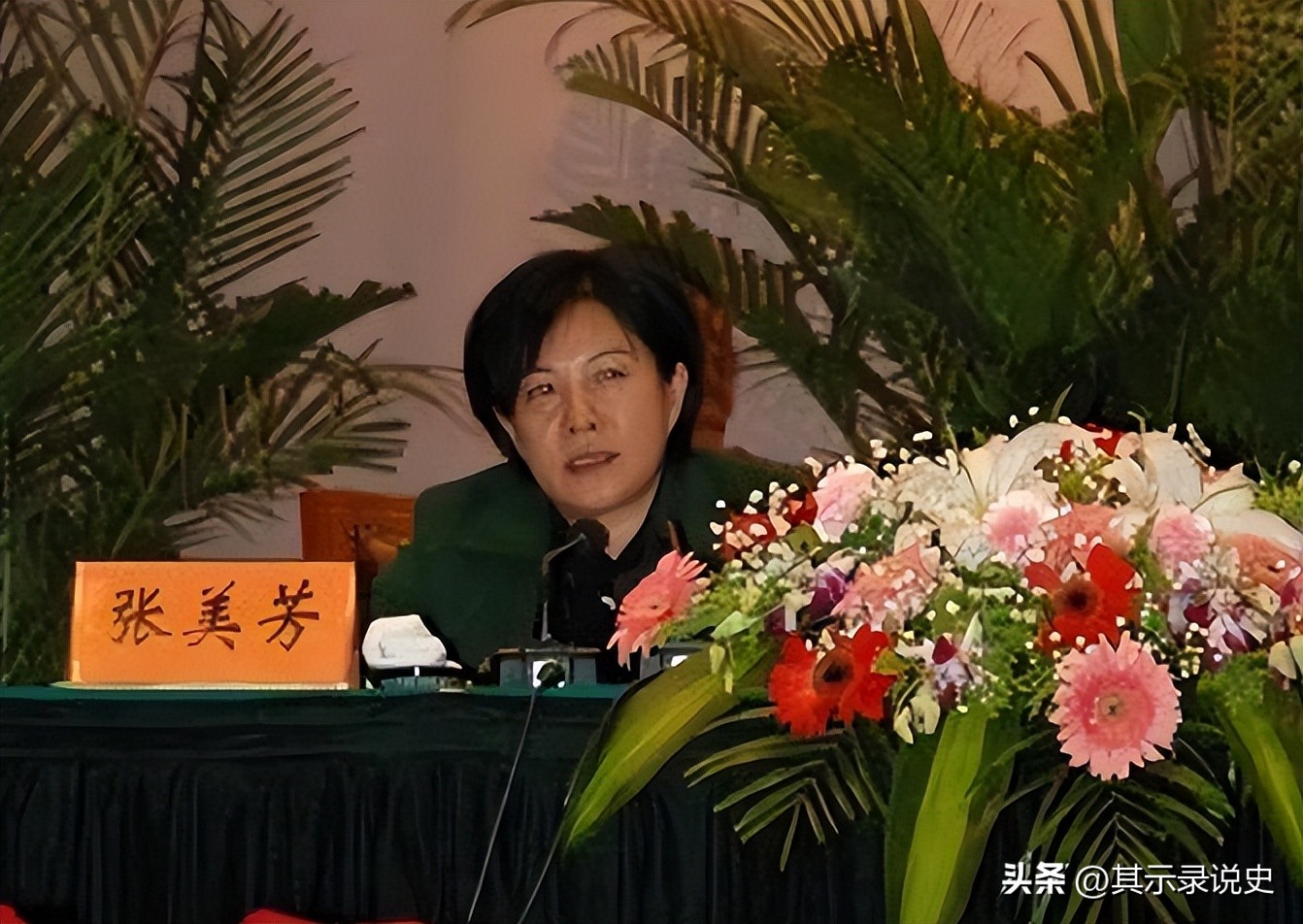 江苏张美芳案 (江苏张美芳案件进展)