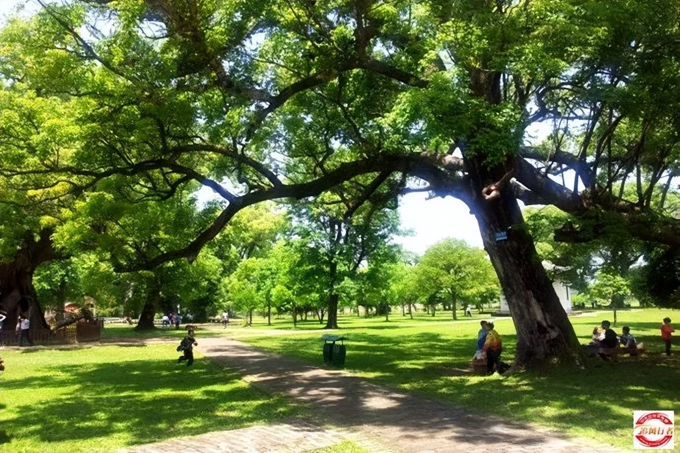 2023年2月11-19追风行者自驾永定土楼-鼓浪屿-九曲溪9日游招募中